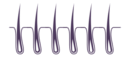 Haartransplantation Türkei